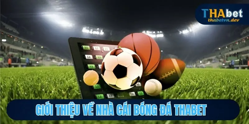 Nhà Cái Bóng Đá THABET - Thương Hiệu Cá Cược Số 1 Châu Á 2 Giới thiệu nhà cái bóng đá xanh chín Thabet